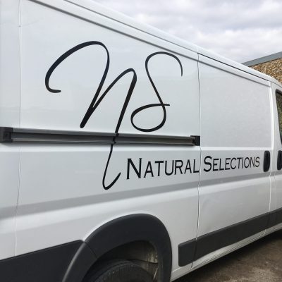 Black vinyl logo on a van